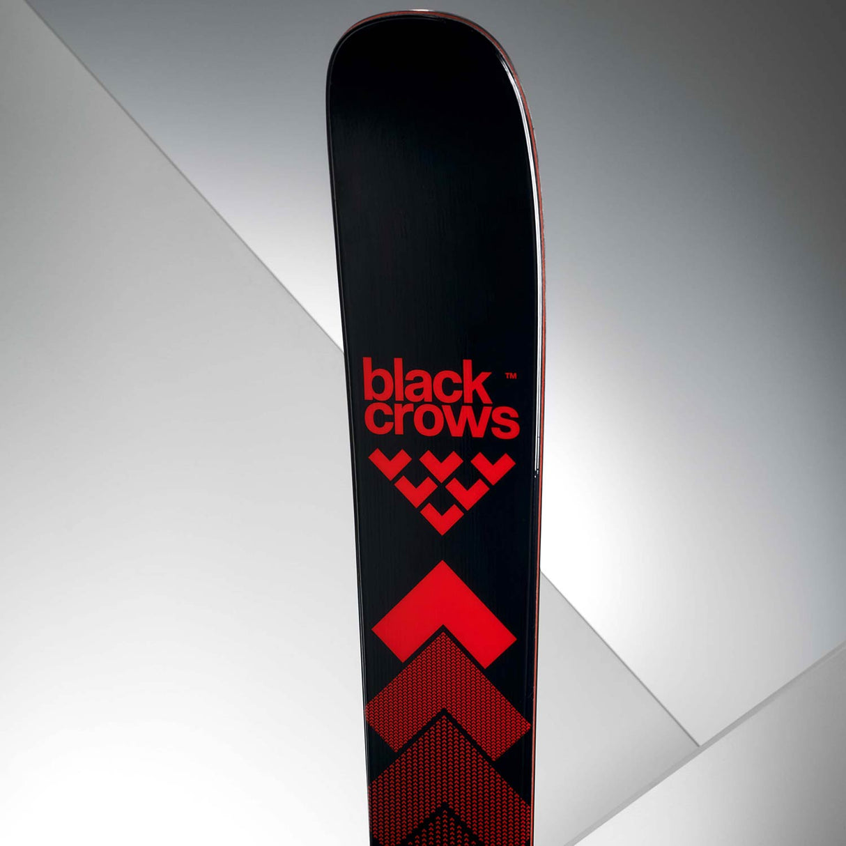 Camox Skis 2025 - Snowtrax