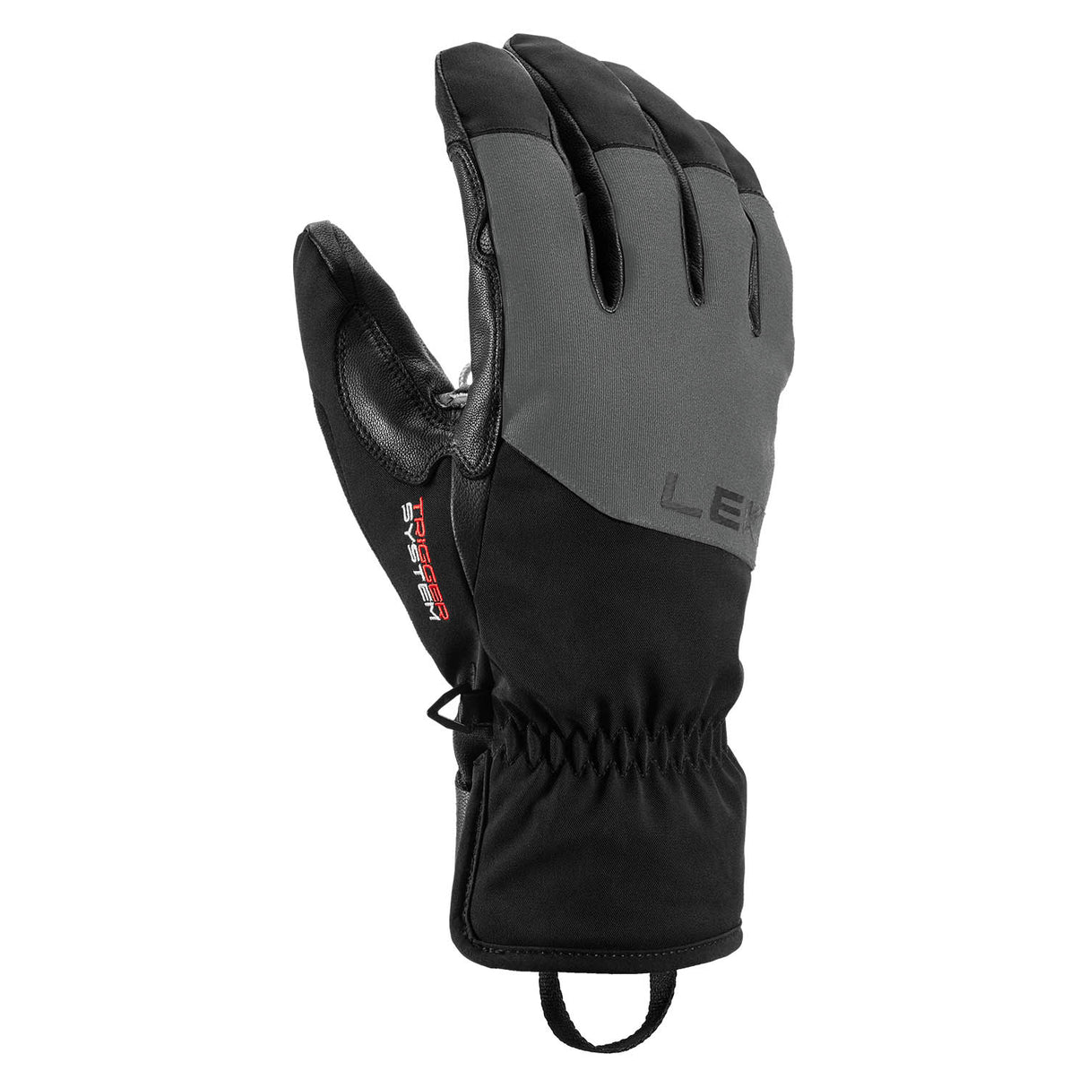 Pegas 3D Gore-Tex Mens Ski Gloves - Snowtrax